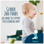 Gerber
